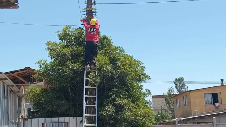 rescate_gato_02